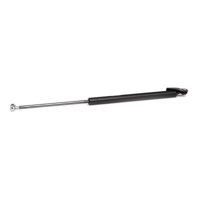Gasfeder, Koffer-/Laderaum RIDEX 219G0802 219G0802 - foto 4