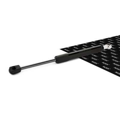 Gasfeder, Koffer-/Laderaum RIDEX 219G0080 219G0080 - foto 2