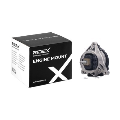 Motoraufhängung RIDEX 247E0668 247E0668 - foto 2