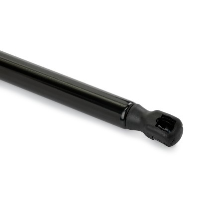 Gasfeder, Koffer-/Laderaum RIDEX 219G1552 219G1552 - foto 5