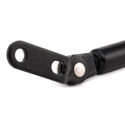 Gasfeder, Koffer-/Laderaum RIDEX 219G0412 219G0412 - foto 5