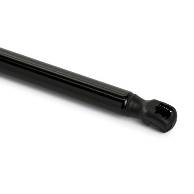Gasfeder, Koffer-/Laderaum RIDEX 219G1120 219G1120 - foto 5
