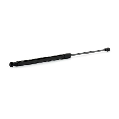 Gasfeder, Koffer-/Laderaum RIDEX 219G1320 219G1320 - foto 3