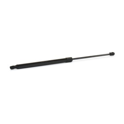 Gasfeder, Koffer-/Laderaum RIDEX 219G1891 219G1891 - foto 3