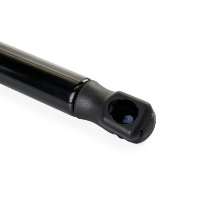 Gasfeder, Koffer-/Laderaum RIDEX 219G1085 219G1085 - foto 5