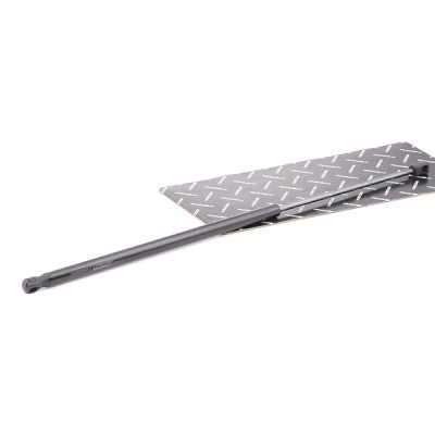 Gasfeder, Koffer-/Laderaum RIDEX 219G1061 219G1061 - foto 2