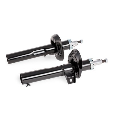 Stoßdämpfer RIDEX 854S1731 854S1731 - foto 9