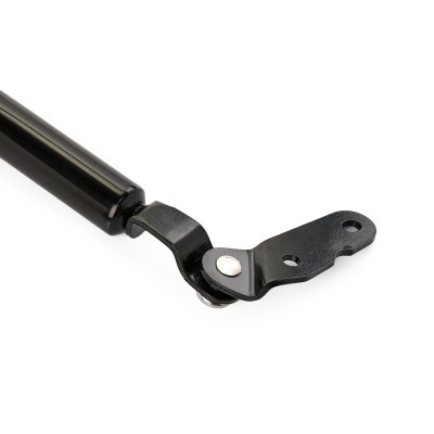 Gasfeder, Koffer-/Laderaum RIDEX 219G0579 219G0579 - foto 5