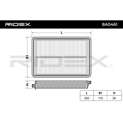 Luftfilter RIDEX 8A0461 8A0461 - foto 6