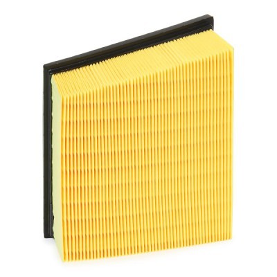 Luftfilter RIDEX 8A0250P 8A0250P - foto 4