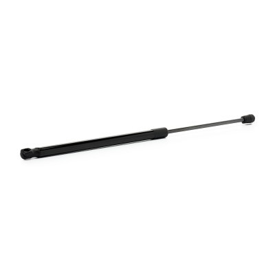 Gasfeder, Koffer-/Laderaum RIDEX 219G1288 219G1288 - foto 3