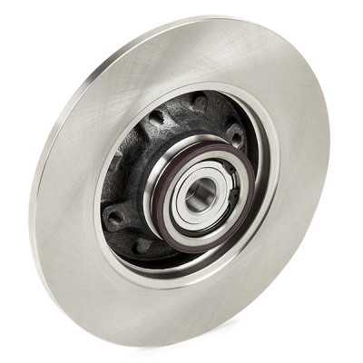 Bremsscheibe RIDEX 82B0701 82B0701 - foto 11