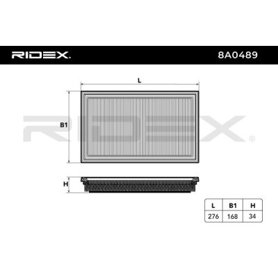 Luftfilter RIDEX 8A0489 8A0489 - foto 4