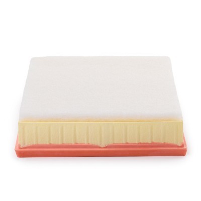 Luftfilter RIDEX 8A0257P 8A0257P - foto 5
