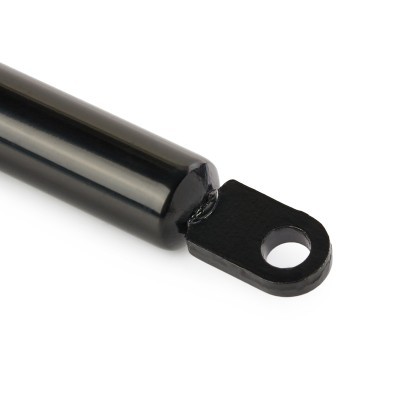 Gasfeder, Koffer-/Laderaum RIDEX 219G1000 219G1000 - foto 6
