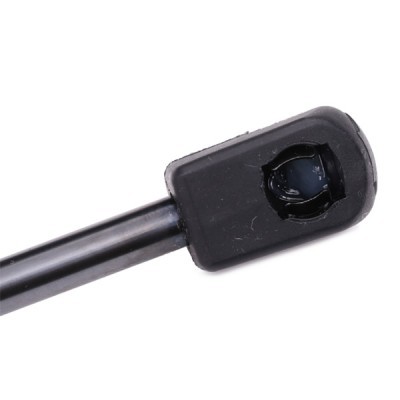 Gasfeder, Koffer-/Laderaum RIDEX 219G0217 219G0217 - foto 5