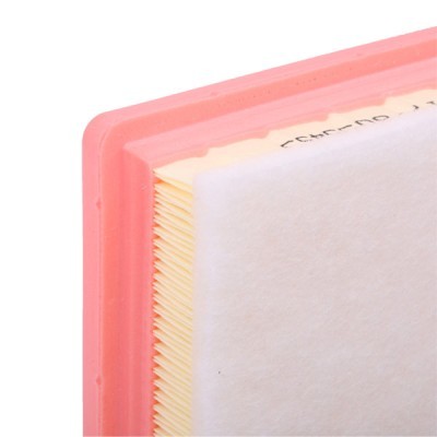 Luftfilter RIDEX 8A0429 8A0429 - foto 5