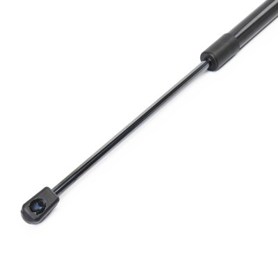 Gasfeder, Koffer-/Laderaum RIDEX 219G1172 219G1172 - foto 4