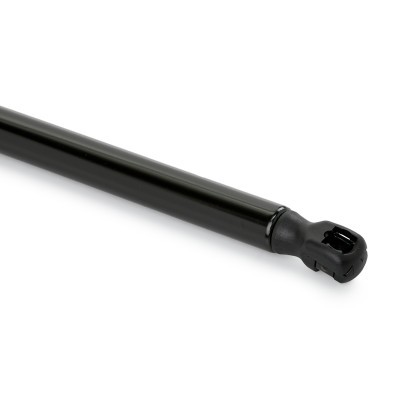 Gasfeder, Koffer-/Laderaum RIDEX 219G1231 219G1231 - foto 5