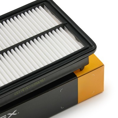 Luftfilter RIDEX 8A0899 8A0899 - foto 5
