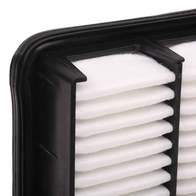 Luftfilter RIDEX 8A0042 8A0042 - foto 6