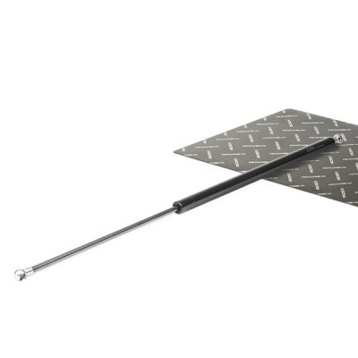 Gasfeder, Koffer-/Laderaum RIDEX 219G0047 219G0047 - foto 2