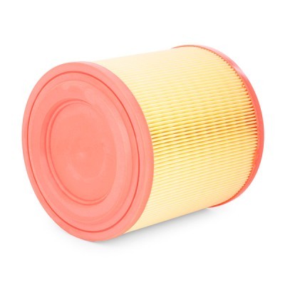 Luftfilter RIDEX 8A0614 8A0614 - foto 4