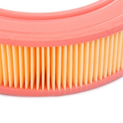 Luftfilter RIDEX 8A0618 8A0618 - foto 5