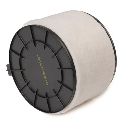 Luftfilter RIDEX 8A0772 8A0772 - foto 4