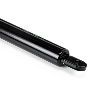Gasfeder, Koffer-/Laderaum RIDEX 219G0053 219G0053 - foto 8