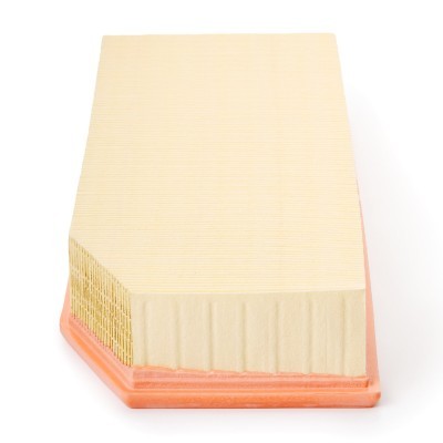 Luftfilter RIDEX 8A0023P 8A0023P - foto 5