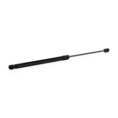 Gasfeder, Koffer-/Laderaum RIDEX 219G1283 219G1283 - foto 3