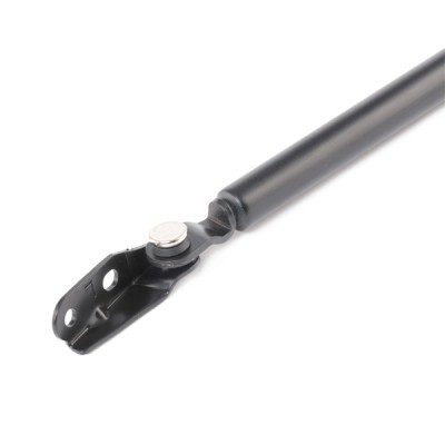 Gasfeder, Koffer-/Laderaum RIDEX 219G0933 219G0933 - foto 3