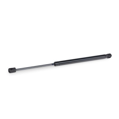 Gasfeder, Koffer-/Laderaum RIDEX 219G0702 219G0702 - foto 4