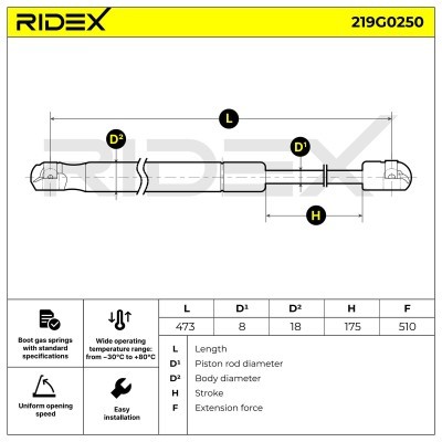 Gasfeder, Koffer-/Laderaum RIDEX 219G0250 219G0250 - foto 7