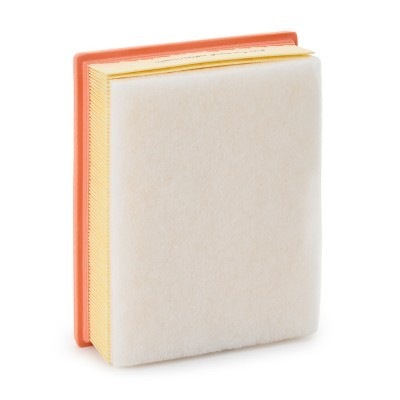 Luftfilter RIDEX 8A0644P 8A0644P - foto 3