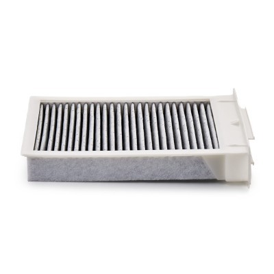Filter, Innenraumluft RIDEX 424I0252P 424I0252P - foto 4