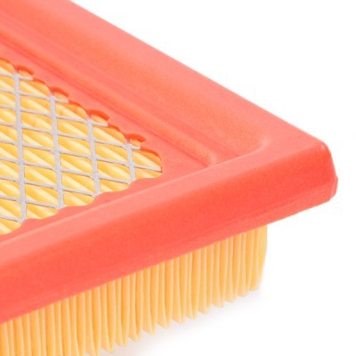 Luftfilter RIDEX 8A0397 8A0397 - foto 5