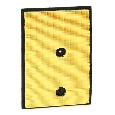 Luftfilter RIDEX 8A0321P 8A0321P - foto 4