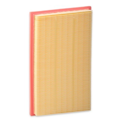 Luftfilter RIDEX 8A0489 8A0489 - foto 3