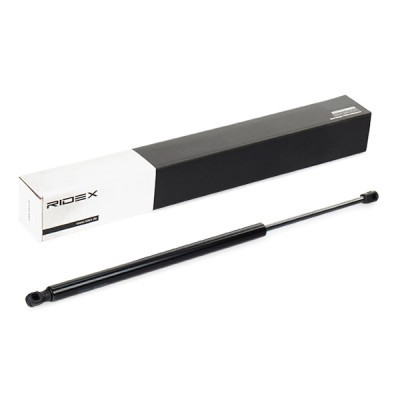 Gasfeder, Koffer-/Laderaum RIDEX 219G0244 219G0244 - foto 2