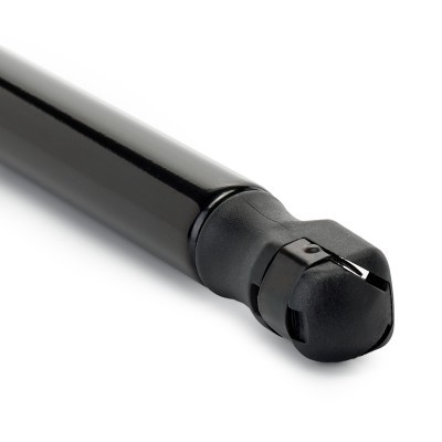 Gasfeder, Koffer-/Laderaum RIDEX 219G1355 219G1355 - foto 5
