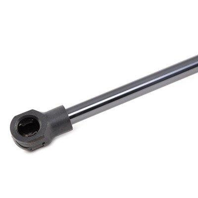 Gasfeder, Koffer-/Laderaum RIDEX 219G0893 219G0893 - foto 5