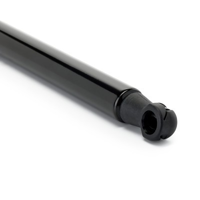 Gasfeder, Koffer-/Laderaum RIDEX 219G1262 219G1262 - foto 5