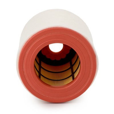 Luftfilter RIDEX 8A0435P 8A0435P - foto 4