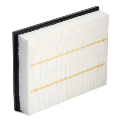 Luftfilter RIDEX 8A0650 8A0650 - foto 4