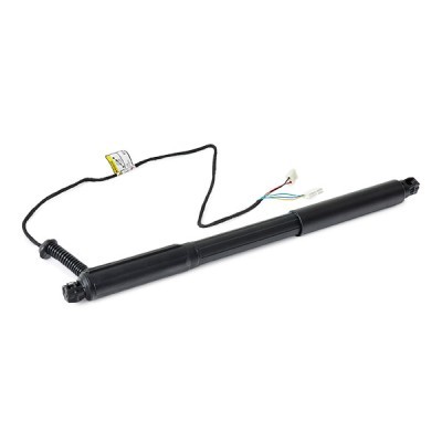 Gasfeder, Koffer-/Laderaum RIDEX 219G1031 219G1031 - foto 3