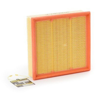 Luftfilter RIDEX 8A0381P 8A0381P - foto 2