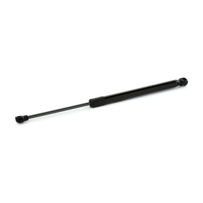 Gasfeder, Koffer-/Laderaum RIDEX 219G1120 219G1120 - foto 2