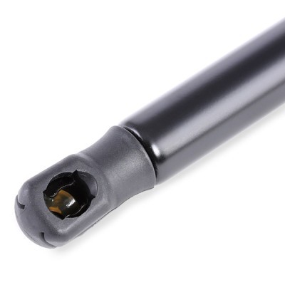Gasfeder, Koffer-/Laderaum RIDEX 219G0328 219G0328 - foto 4